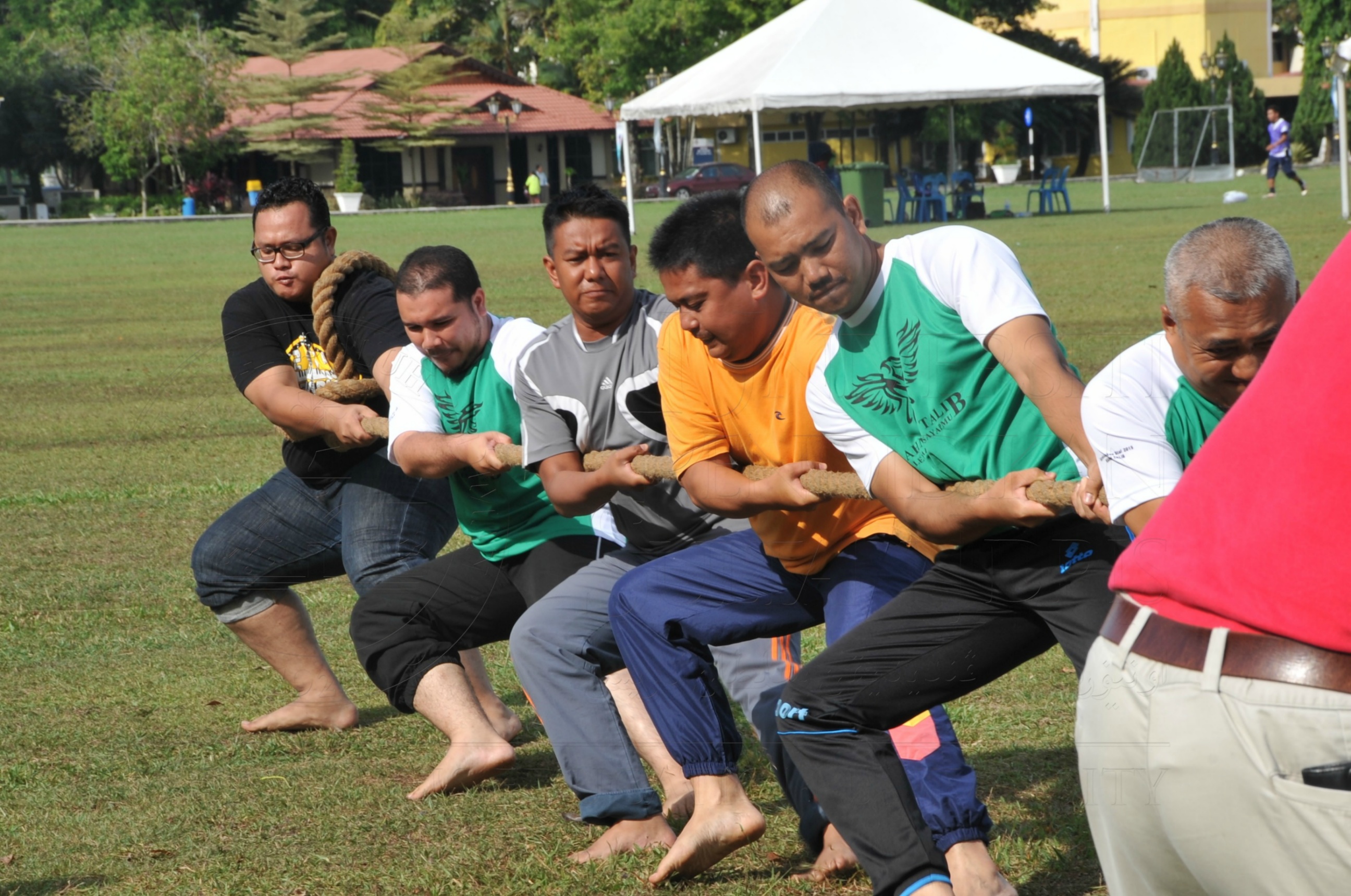 PRO 15 53 KIESTA HAS 5586